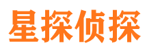 光山私家侦探公司